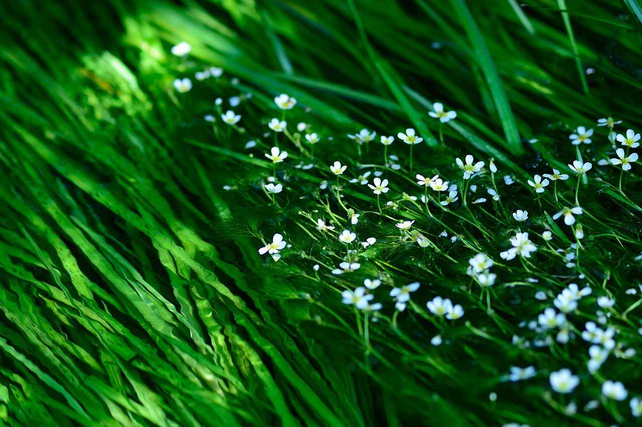 Renk körlüğü: Eğlenceli renk oyunları 4 Eğlenceli Renk Oyunları Önerileri