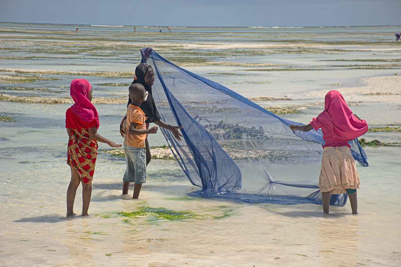 Renk körlüğü: Görsel algı ve renk teorisi 4 Renk körlüğünün etkileri
