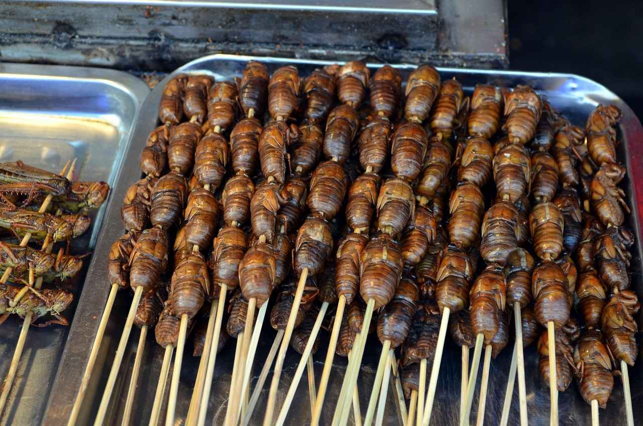 Sonuç