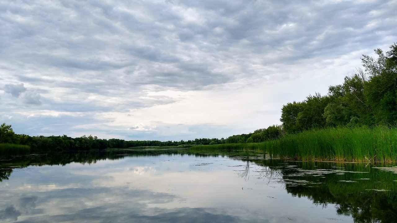 Renk körlüğü: Sosyal yaşamda etkileri 3 Renk körlüğünün sosyal etkileri