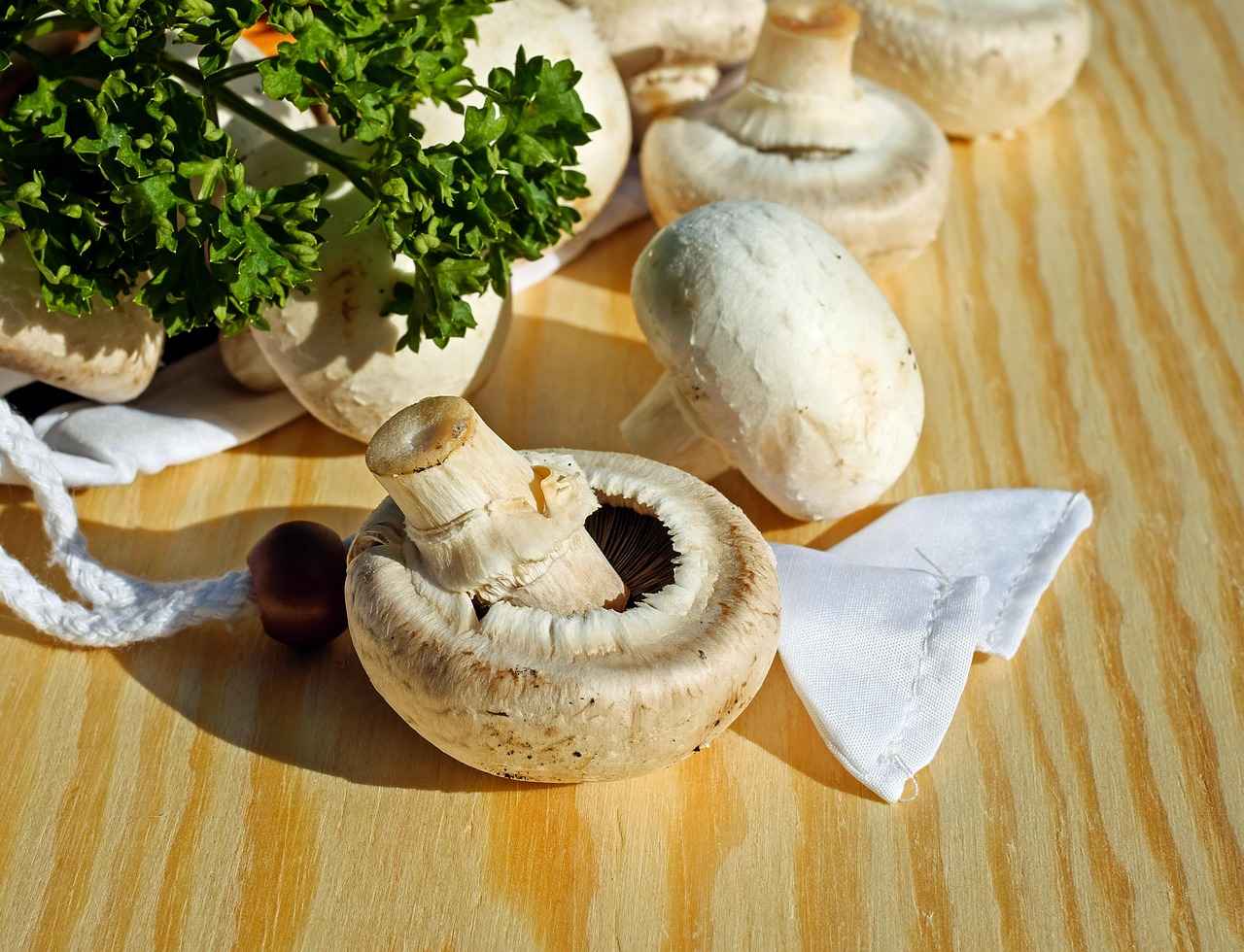 Renk Körlüğü Nedir?