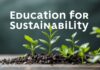 Eğitimde Sürdürülebilirlik: Çevre Bilinci ve Geleceğin Yetenekleri Education for Sustainability: Environmental Awareness and Future Skills